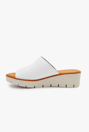 CARLA - Sienazapatos copyright © 