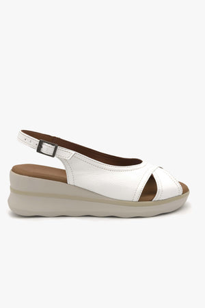 MAUI - Sienazapatos copyright © 