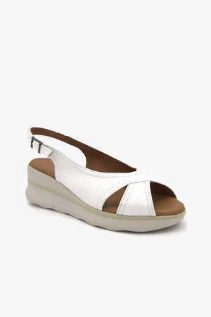 MAUI - Sienazapatos copyright © 